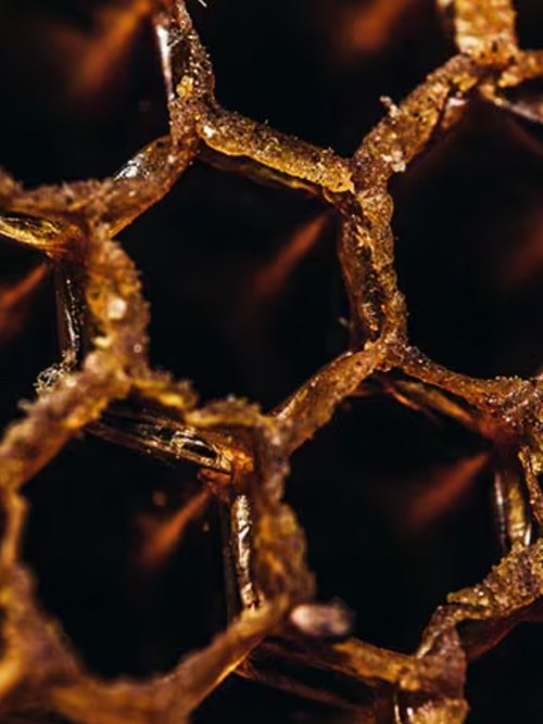 Capture_d_ecran_le_2024-07-12_a_14 - Mustela Multi-market - 1